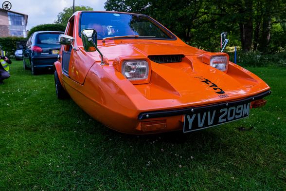Orange bond bug