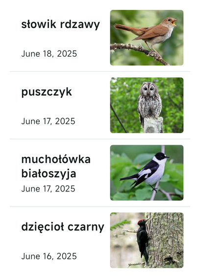 Aplikacja Merlin z kolekcją zaobserwowanych ostatnio ptaków: słowik rdzawy, puszczyk, muchołówka białoszyja, dzięcioł czarny
