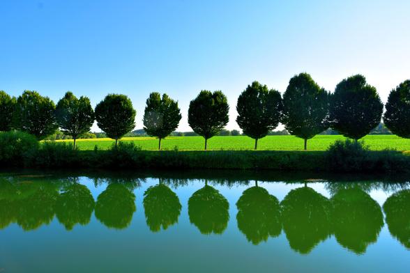 A row of evenly spaced trees lines a grassy field, their reflections visible in the calm water of a river under a clear blue sky.
Eine Reihe von gleichmaessig angeordneten Baeumen saeumt ein grasbewachsenes Feld, deren Spiegelungen sich im ruhigen Wasser eines Kanals unter einem klaren blauen Himmel widerspiegeln.