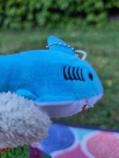 Tiny plushie shark with a little teddy bear paw showing.