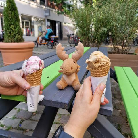 Mr Moose on a picnic table with amarena and caramel ice-cream