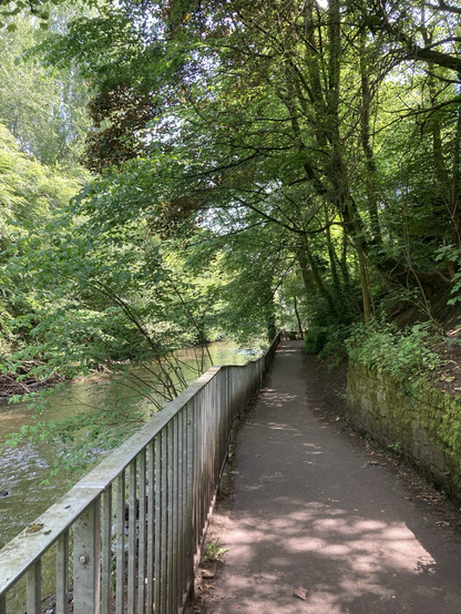 A path next to a river, fenced on the lefthand side and with lots of lush green trees shading it