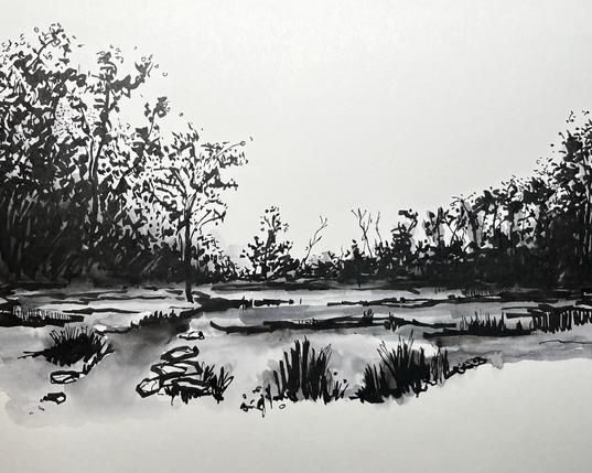 This is a black and white ink drawing depicting a marshland view. On the right, a dense mass of trees with detailed foliage dominates the composition, suggesting a lush forest or group of large trees. To the left, there appears to be a body of water with reflections, and further left, some lighter, perhaps more distant, elements that could be hills, structures, or less dense vegetation, rendered with lighter washes of ink. The overall impression is one of contrast and depth, created through varying shades of black and gray.


(Alt-text auto-generated.)