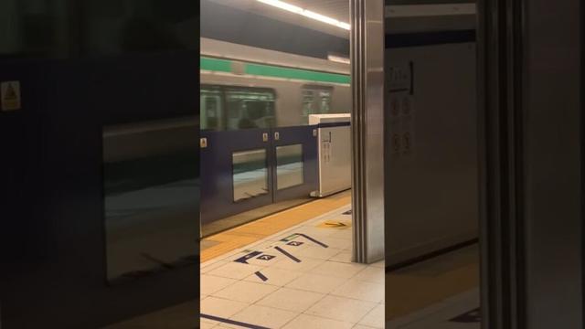 Rinkai R Line at Tokyo Teleport