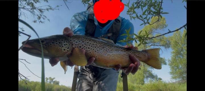 Mosquitoes were bad. Bite was good.