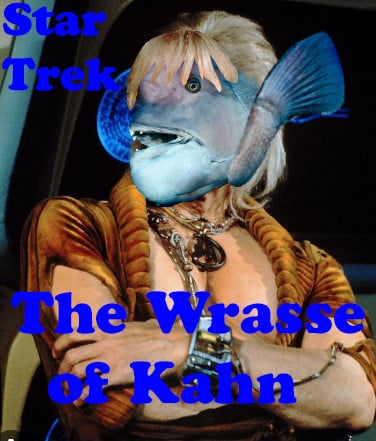 Ricardo Montalban was nice enough to posthumously allow me to photoshop a Wrasse fish over his face complete with ridiculous blond bangs for Wrasse of Kahn