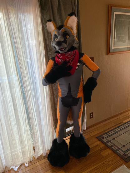 Tryk the cross fox standing in front of a curtain with a red bandana around his neck. He’s in a skintight Lycra outfit colored with his fur patterns.