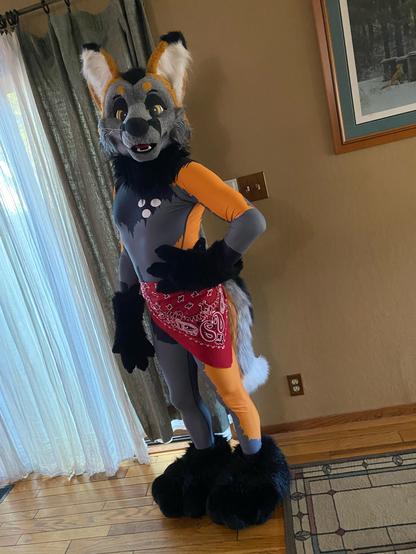 Tryk the cross fox with the red bandana around his waist, the point going down the outside of his right leg.