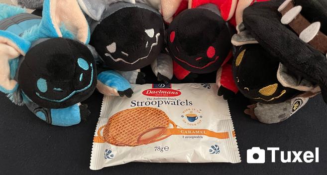 4 Protobeans sitting around a package of Stroopwafels