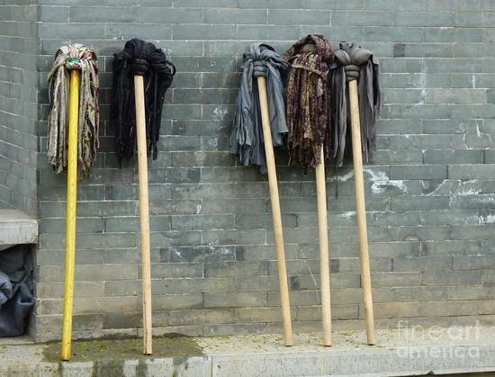 Wet brooms on a wall