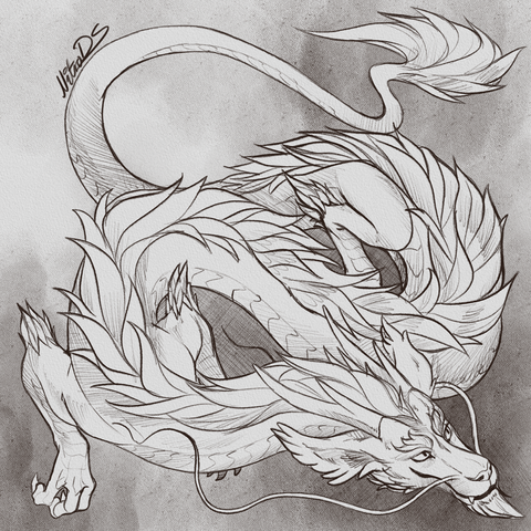 black and white drawing of an eastern dragon with a mane along side its body, fluffy years, cheeps and chin
