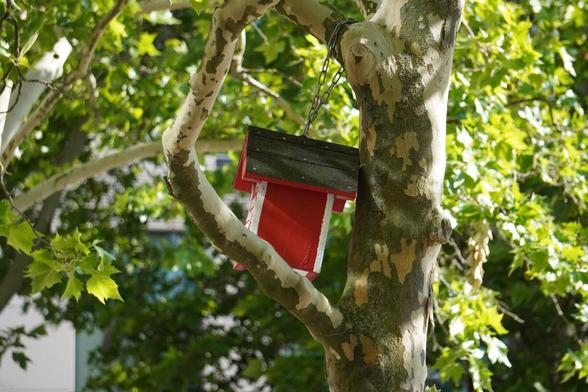 The picture shows a red birdhouse in a tree
