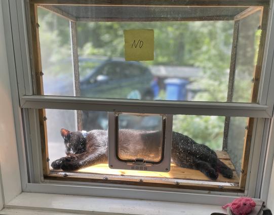 A black cat asleep in a screened cat box hanging outside a window. The cat can enter through a small square clear hinged cat flap built into a plexiglass panel inset in an open double hung window. The wi Dow is open about eight inches but can be closed when it is cold blocking access to the cat flap. The box has a slatted wooden floor and a solid roof but is screened on three sides so the cats can be safely outside and observe the world without injuring wildlife or getting hit by a car. A small pink cat toy sits on the window sill inside the house.