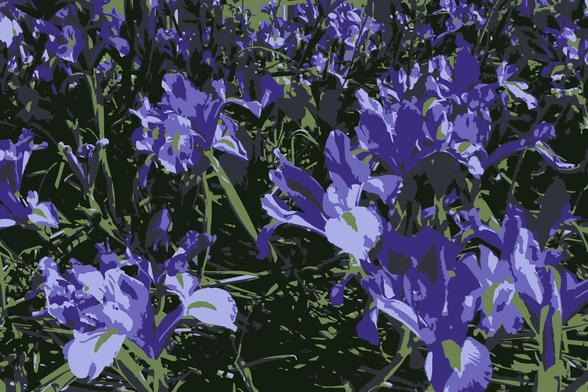 The image depicts a field of purple flowers, likely irises, with green foliage. The flowers are in various shades of purple, ranging from light to dark, with some having white accents. The leaves are long and slender, with a mix of green hues. The background is dark, providing contrast to the vibrant colors of the flowers. The overall composition is dense, with the flowers overlapping each other, creating a rich and textured appearance. The image has a stylized, almost graphic quality, with bold outlines and a limited color palette.

Provided by @altbot, generated privately and locally using Ovis2-8B