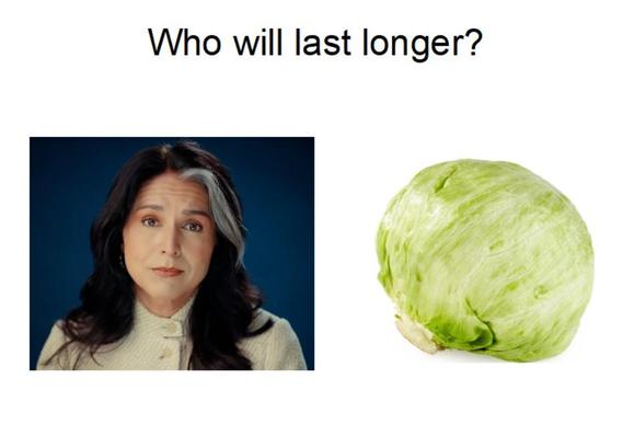 The question is asked, who will last longer? Meme depicting Tulsi Habbard and a head of lettuce.