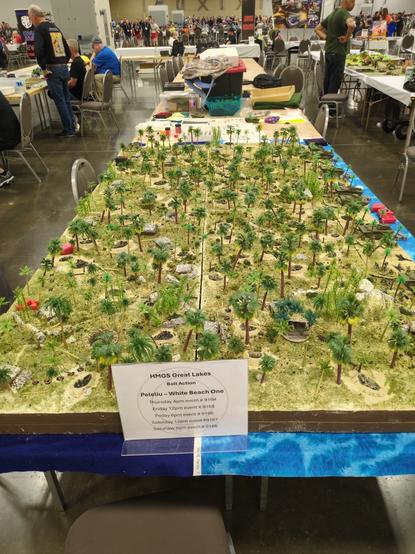 a large (2m by 1m) miniature recreation of the beach at Peleliu in WW2. small plastic palm trees litter the inland grassy beach and on one side you have some small craft landing with troops.

A sign says the event time and that it's the Bolt Action game series.