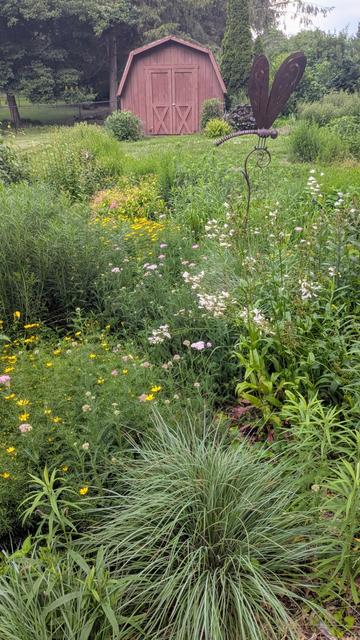 Yellow, white and pink flowers bloom around a metal dragonfly sculpture