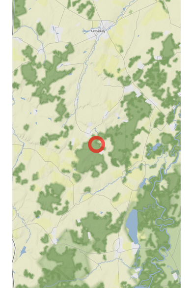 Map of the location of the observation: Респ. Башкортостан, Россия, 453001, (latitude: 54.17, longitude: 56.16).
