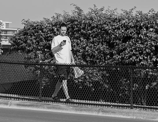 Guy walking looking at his phone (BW)