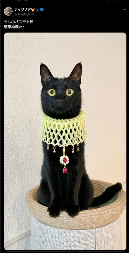 X post by @Teagle_Noir featuring a cat with a fruit cushion around its neck and jewels dangling from it