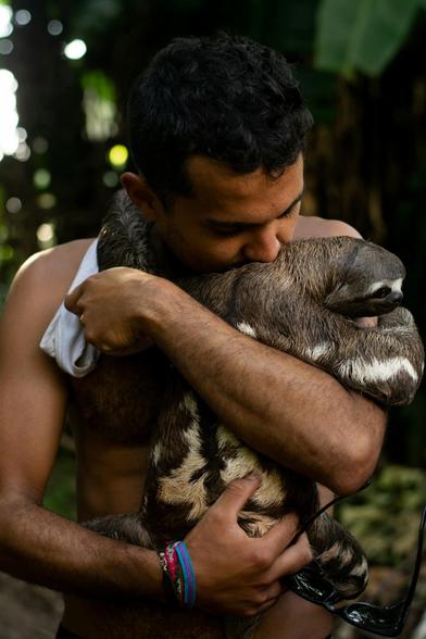 cute sloth hugging a men with black hair, taken in Iquitos, Loreto, Peru