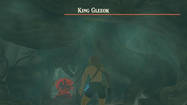 Link faces Ganon at the very start of TotK