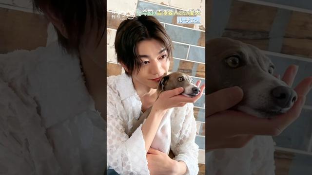 原因は自分にある。吉澤要人さんと愛犬ルーチェくんが遊びにきてくれました！（イタリアングレイハウンド｜月刊わんこ撮影オフショット）