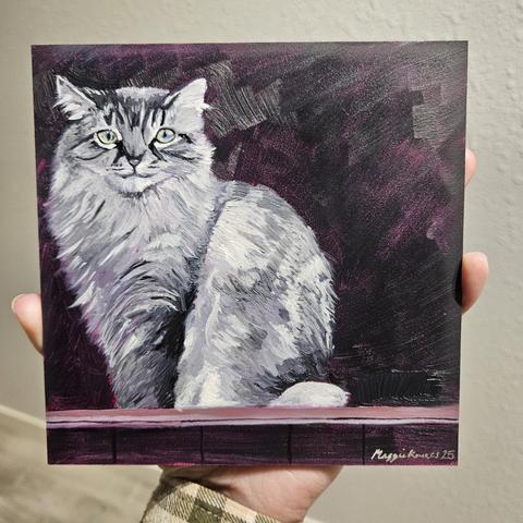 6x6 oil painting on gessobord of a  Himalayan looking long hair soft cat with greenish eyes standing in a window cill. Magenta undertones showing through