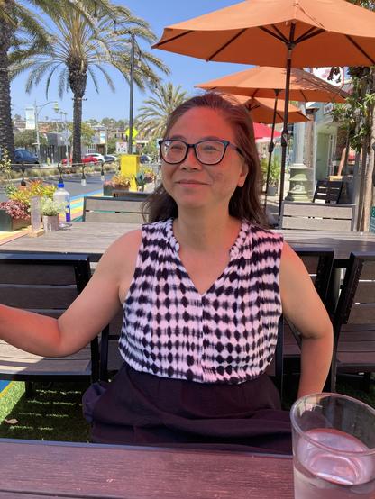 Black and white gauze sleeveless v-neck blouse with a wee collar. Pleated black seersucker skirt. Woman with glasses and long black hair looking off towards the ocean