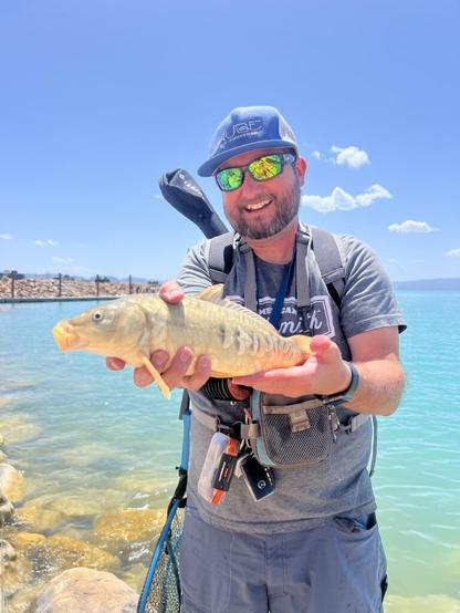 First mirror Carp on the fly