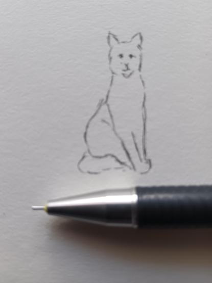 Zeichnung: Katze sitzt aufrecht