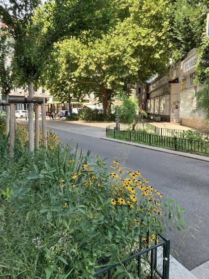 Foto zeigt Straße mit Grünflächen und Bäumen . Foto: VCÖ