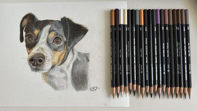 Dessin d’une jeune chienne tricolore avec tous les crayons utilisés posés à côté