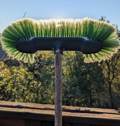 Late solstice sunlight shines through the head of a very old green broom. The bristles almost glow. 

The broom leans against a sad looking deck above natural bushland. The sky is blue.