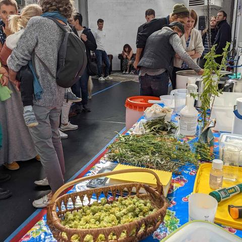Houblon et plantes de la région pour le prochain brassage