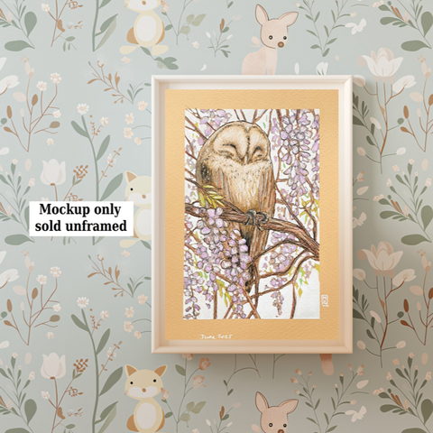 A small drawing of a barn owl sleeping in among wisteria branches. The drawing has a white background and is on warm beige paper.
An original art work
Colour pencil and mixed media on acid free toned artist paper
5 by 7 inches (12.7 by 17.8 cm).
Sold unframed