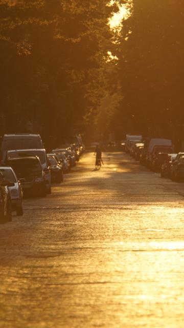 Sehr langer Blick eine Straße entlang, mit Gegenlicht vom Sonnenuntergang 
210mm an APS-C, mit nochmals 1,7 Teleconverter