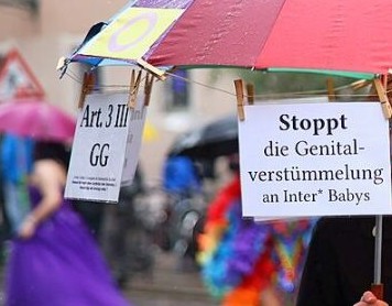 Regenschirm mit Schildern: 
"Stoppt die Genitalverstümmelung an Inter* Babys!"
"Intersexualität hat nichts mit /Sex/ zu tun!"
"Artikel 3 Absatz 3 GG"
"Protect inter* Babys in Freiburg"