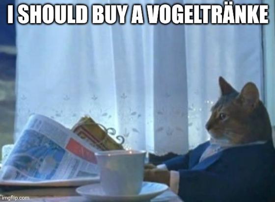 Das "I should buy a boat" Meme. Eine rotgetigerte Katze im blauen Anzug sitzt am Frühstückstisch und hat eine Tasse Kaffee und eine geöffnete Tageszeitung vor sich. Die Katze starrt über den Rand der Zeitung hinweg ins Leere. Über dem Bild steht der Text: "I should buy a Vogeltränke".