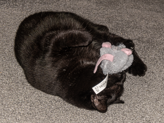 A black cat is lying on a grey carpet,  playing with a grey and pink catnip mouse.  She is rolling around on the floor, holding the toy with her mouth and paws and occasionally rubbing it on her face.