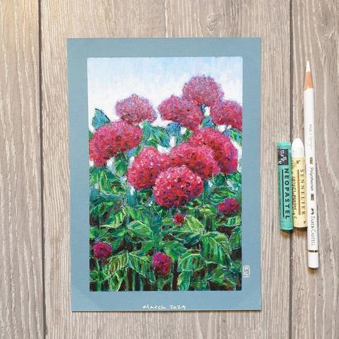 An oil pastel painting of a red hydrangea shrub. The palette for the painting is mostly red and green.
an original art work
Fine art oil pastel on toned pastel paper
Size A5 (21cm x 14.5cm)
Sold unframed