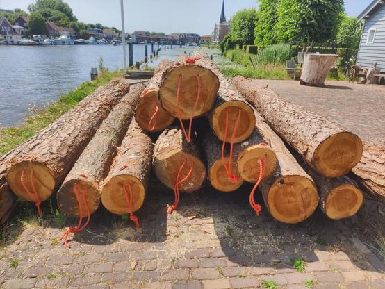 Een stapel Oostenrijkse dennenstammen ligt op de kant. Deze stammen gaan het water in, zodat ze niet verder scheuren door de droogte.