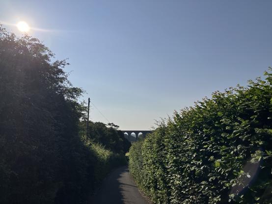 Looking down a country lane edged by tall green hedges. The sky is blue. The sun is in the upper left of the photo. In the middle distance, an arched stone railway viaduct crosses from left to right. 

I take these photos so I can enjoy the progress of the sun across the sky as the seasons change. Here at the summer solstice, it’s high left, in December it’s low to the right. 

This photo is dedicated to everybody who rides a bike for transport and especially to those who ride year round. 

I’m particularly enjoying the warm weather at the moment which means that I don’t need gloves for warmth, and thinking back to the depths of winter when even withmy warm gloves with pogies, I’d still arrive at work frozen. 

In the mornings this week, the dips in the landscape contained delicious, cool air, but in winter, they’re punishingly cold. 

Whatever you ride, keep on keeping on.