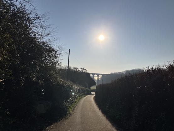 The same view at the March equinox. The sun is mid frame, the hedgerows not yet full of life.