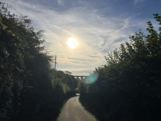 …and at the September equinox. The hedges are tall and green. The sun is mid frame, with wispy high cloud. There’s a bit of lens flare.