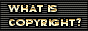 it says "what is copyright?"