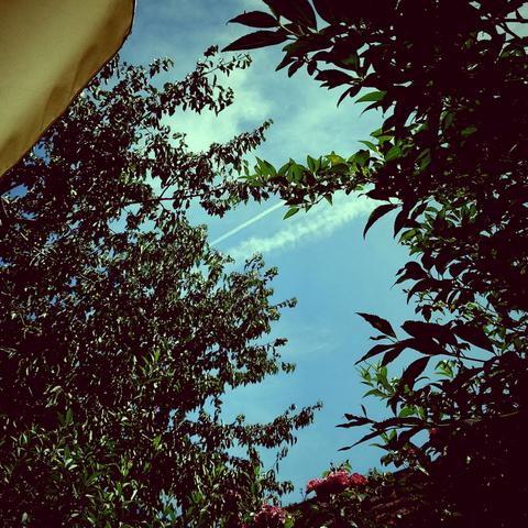 Sonnenschirm, blauer Himmel, Bäume. Sommerstimmung.