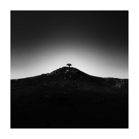 A square black-and-white photograph framed with a white border, depicting a solitary tree standing at the crest of a rounded hill. The tree is sharply silhouetted against a bright gradient sky that transitions from light near the horizon to deep black at the top of the frame. The sky contains a noticeable amount of grain, adding a textured, almost film-like quality. The lower portion of the image remains in deep shadow, rendering the terrain abstract and undefined. Light subtly highlights rocks near the summit, emphasizing the tree’s position. The overall composition is stark, minimal, and rich in tonal contrast.