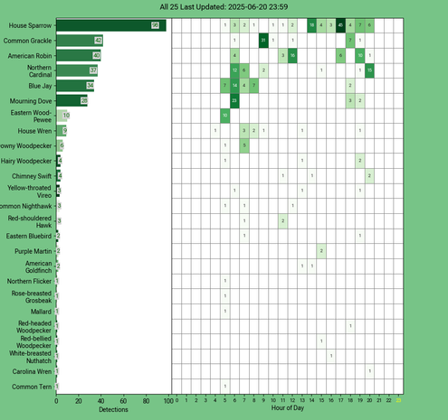 Chart generated by BirdNET-Pi with rows of all detected birds for Friday, June 20, 2025 in decending order.  The first large column displays a bar chart of relative frequency; the 24 reamaining columns create cells with the bird count for each hour of the day shaded by relative count.
