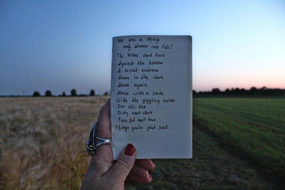 An open journal is held in front of the horizon during sunset. The field to the left is golden in grain, the one to the left is dark green. There is a tree line at the horizon. The hand holding the journal has red nails and a raven skull ring. The lines in the journal are: 

We are the thing only stories can tell.
Your eyes
Hiding a suffering
On the inside
My hands
Never reaching
But longing
For your skin
And all
That hides within.